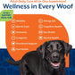 Dog Multivitamin Soft Chews 10 in 1 Joint Skin Digestion Immune 60ct