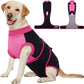 Female Dog Recovery Suit After Spay, XS–2XL