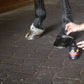 Absorbine SuperShine Hoof High Gloss Polish Shine and Sealer 8 oz.