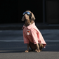 Dog Clothes For Large Breeds Labrador
