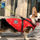 Pet Dog Clothes For Small Dogs Winter Warm Dog Hooded Coat Jackets Chihuahua Pug Outfits Puppy Cat Clothing