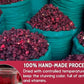 High-Quality Hibiscus Tea – Premium Crimson Herbal Infusion