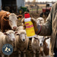 Dr. Naylor Red-Kote Veterinary Antiseptic Aerosol for Horses Livestock 5 oz.