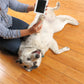 Commemorative Photo Album For Children And Pets Fingerprint Rubbing Postcard DIY Pet Supplies