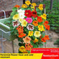Baby's Breath, Sunflower, Cosmos, Daisy Four-season Seeds