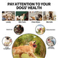 Extreme Tough Dog Chew Toys for Aggressive Chewers