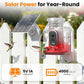 Hummingbird Feeder Camera Solar WiFi 2.5K HD AI Night Vision