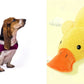 Anxiety Jacket Vest Summer Medical Treatment To Calm Down Cat Clothes Dog Comfort Clothes