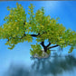 Artificial Aquarium Plant for Fish Tanks, TREE DECOR 16" aquarium plastic plant