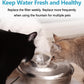 Cat Water Fountain filter
