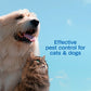 Adams Flea & Tick Cleansing Shampoo 12oz Kills Pet Fleas Ticks Eggs & Lice