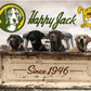 Happy Jack Skin Balm Aerosol For Dogs Cats & Horses 6 oz.
