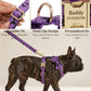 Halloween Classic Violet Print Set