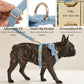 Light Blue Teddy Set