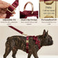 Red Wine Velvet Set