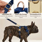 Dark Blue Velvet Set