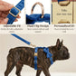 Blue Velvet Set