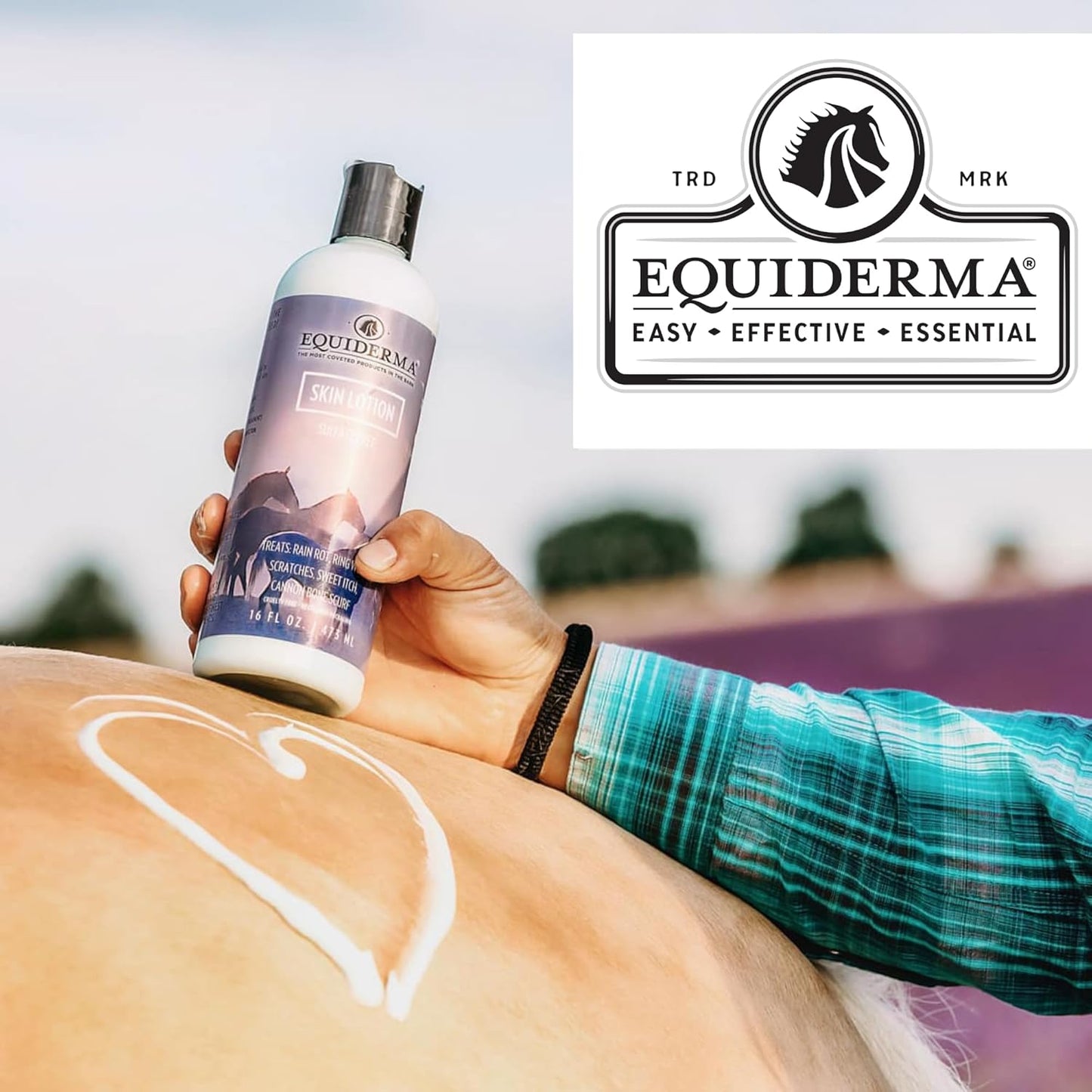 Equiderma Equine Skin Care Lotion for Rain Rot & Horse Skin Care 16 oz.