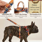 Midnight Copper Plaid Set