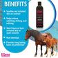 EQyss Micro-Tek Equine Gel 16 oz. Aloe Cooling Leave-On Horse Skin Soother
