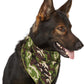 Aria Pet Bandana for Your All American Hound or Outdoor Dogs, Green Camo