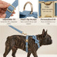 Blue Denim Set