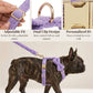 Teddy Purple Set