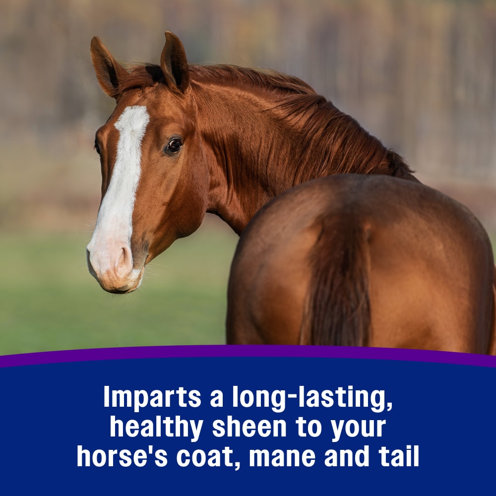 Farnam Vetrolin Shine Coat Conditioner & Shine Spray for Horses Mane Tail 64 oz.