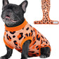 Dog Recovery Onesie Suit After Surgery – 4 Colors, XS–2XL