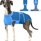 Female Dog Recovery Suit After Spay, XS–2XL