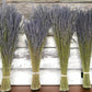 Dried Lavender Bundles for Home Decor Aromatherapy Floral Display