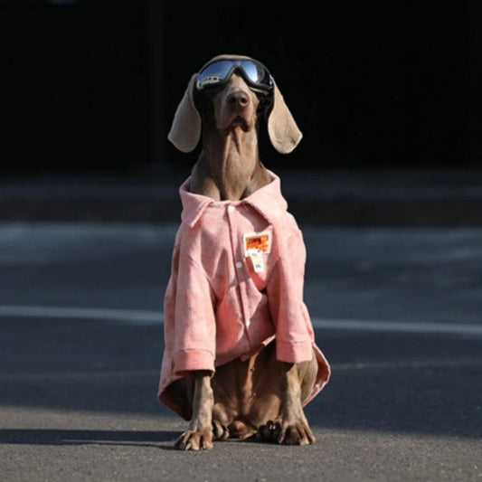 Dog Clothes For Large Breeds Labrador