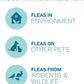 Tapeworm Dewormer for Dogs, Praziquantel 34 mg Tablets, 5 Count