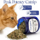 Pure Catnip for Cats North American Grown Fresh Catnip Jar
