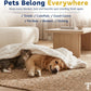 Katziela Enzyme Pet Laundry Detergent Powder – 64 Loads