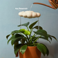 Original Dripping Rain Cloud with Orange Butterfly Charm
