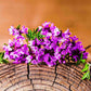 5000 Multicolor Creeping Thyme Seeds - Vibrant, Easy-to-Grow Ground Cover Flower Mix