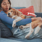 Adams Plus Flea & Tick Collar for Dogs & Puppies One Size Fits All 2-Count