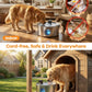 Wireless Dog Water Fountain Stainless Steel 3.4Gal Large Pet Fountain