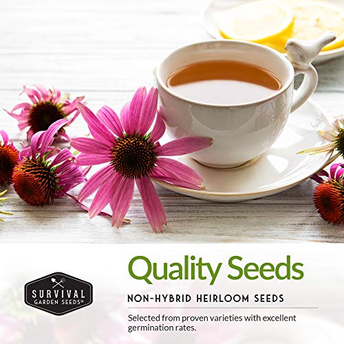 Herbal Tea Garden Seeds Kit – 5 Heirloom Medicinal Herbs for Soothing Teas, Remedies & Pollinator-Friendly Gardens