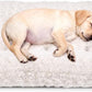 Dog Crate Bed Pad Soft Plush Washable Kennel Mat Anti Slip 24x18 For Small Dogs