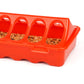 Little Giant 20" Plastic Flip-Top Poultry Ground Feeder, Red Chickens Birds 2-Pack