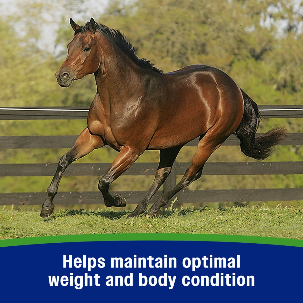 Farnam Equine Weight Builder 7.5 lbs Weight Support Supplement for Horses