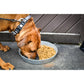 Bergan Galvanized Pet Pan 3 Quart Silver Durable Low Profile Dog Dish