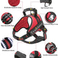 TrueLove Outdoor Adventure Dog Harness  Model Number: TLH5753