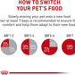 Senior Cat Wet Food 11+ Royal Canin Aging Thin Slices Gravy 3oz 12 Pack