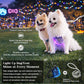 LED Dog Harness Light Up Fiber Optic Remote Control Small Dogs Cats