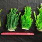 PremiumArtificial AquariumPlantPackage for Fish Tank,THE 4 Musketeers of Plants