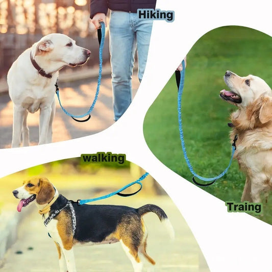 Dog Leash Multi-functional For Large Breeds Anti-pull