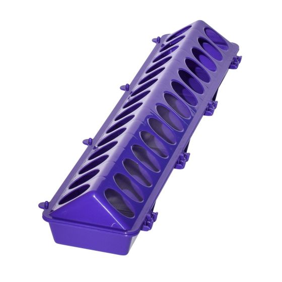 Little Giant 20" Plastic Flip-Top Poultry Ground Feeder, Purple Chickens Birds
